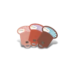 Kidywolf KIDYSTORIES Set slajdova za KIDYSLIDE – Circus