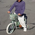 Banwood Pin & Ride ukrasni pinovi - Dinosaurs - Image 7