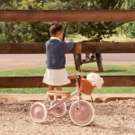 Banwood Tricikl Vintage - Dusty Pink - Image 2