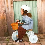 Banwood Tricikl Vintage - Pale Mint - Image 2
