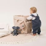 Elodie korpa za odlaganje StoreMyStuff – Sweet Date - Image 6