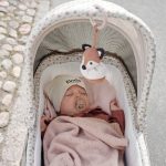 Elodie Mondo košara za novorođenče - Autumn Rose - Image 5