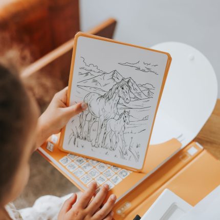 Kidywolf KIDYDRAW PAD dodatni set ilustracija – Konji